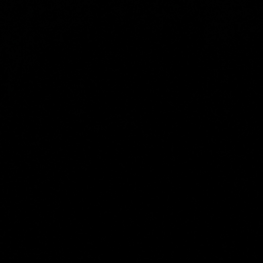 Meet your Posher, Lily